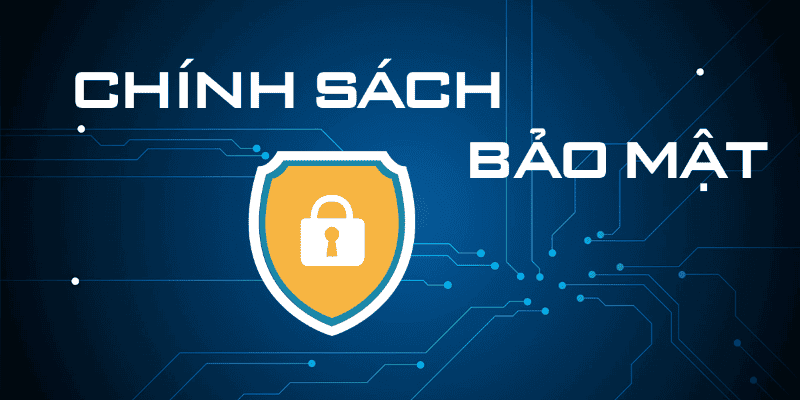 👥 Quyền và nghĩa vụ của người chơi